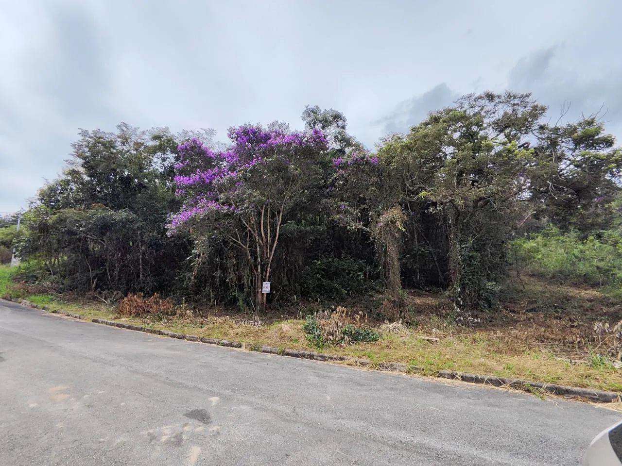 Lote em condomínio fechado  - Foto 12