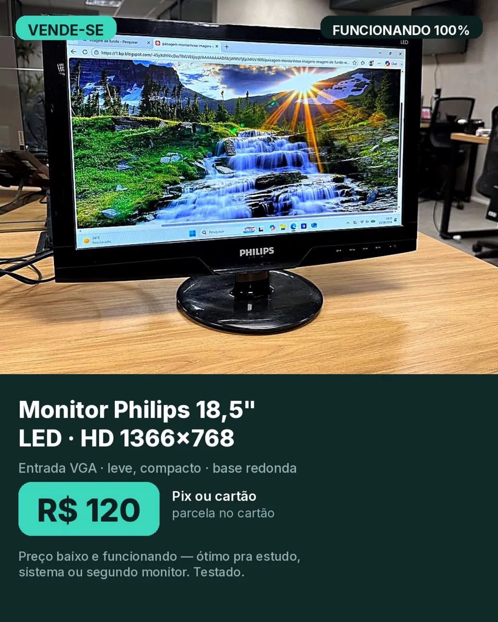 Monitor Philips LED 18,5 polegadas HD