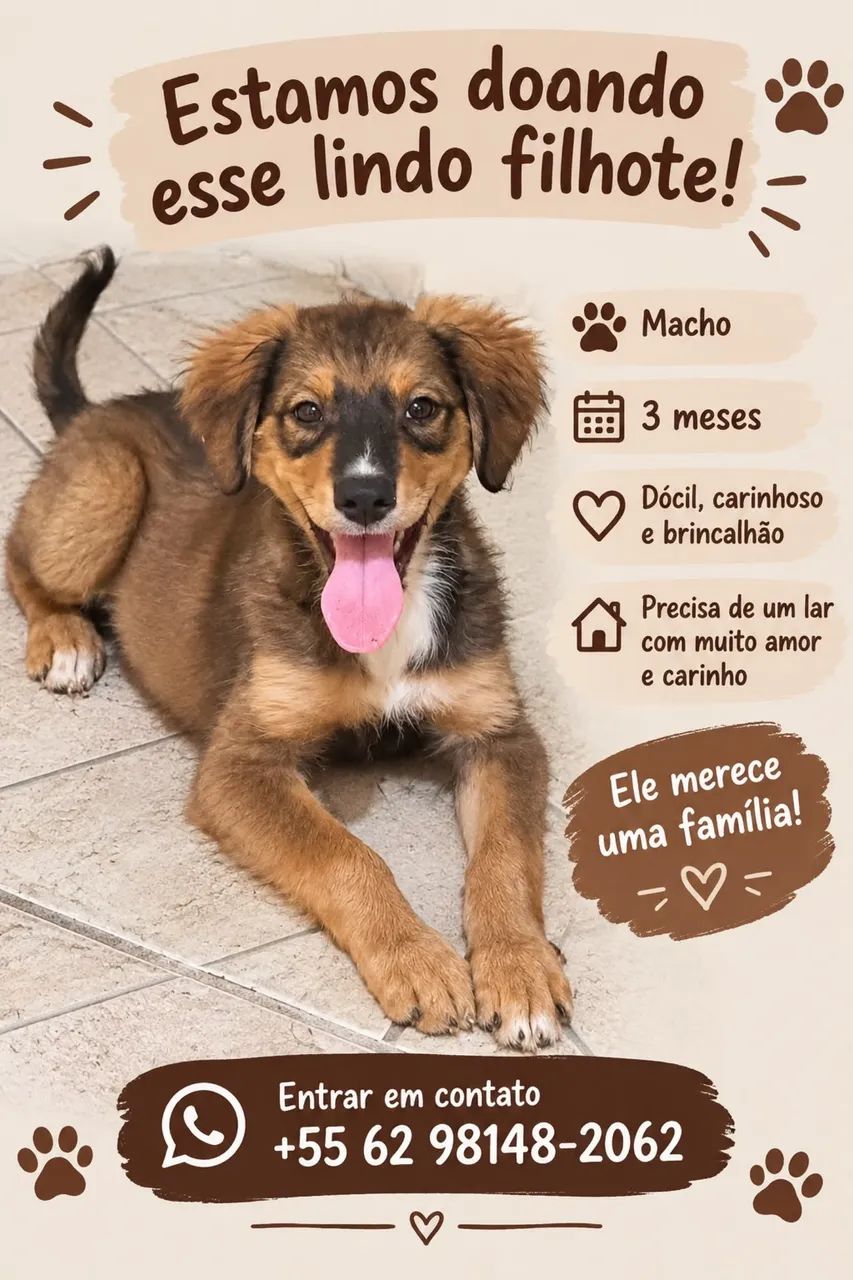 Doação Cachorrinho 