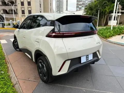BYD Dolphin Mini (El étrico) 2025 - Foto 4