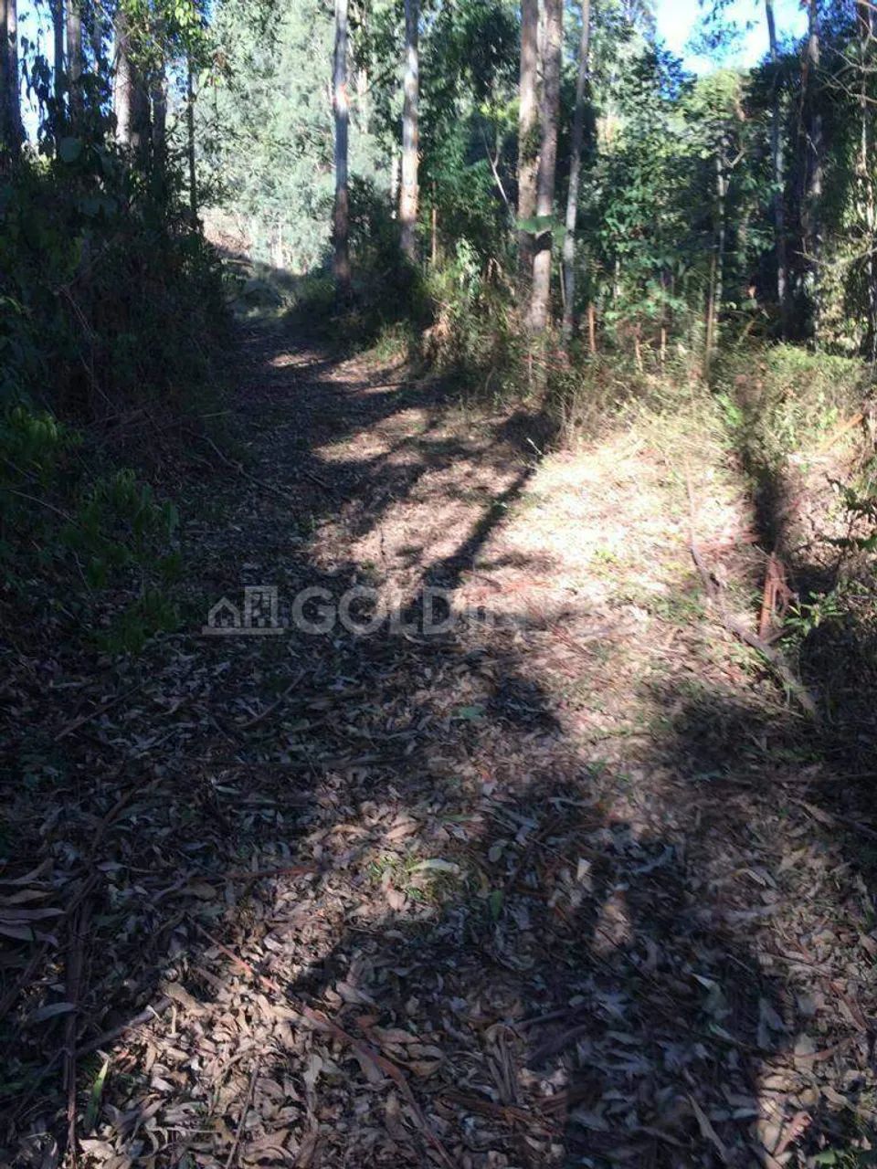 Chácara / Sítio à venda, Não Informado - Botuverá/SC - Foto 3