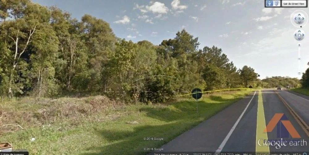 Terreno Área em Ponta Grossa - Foto 3