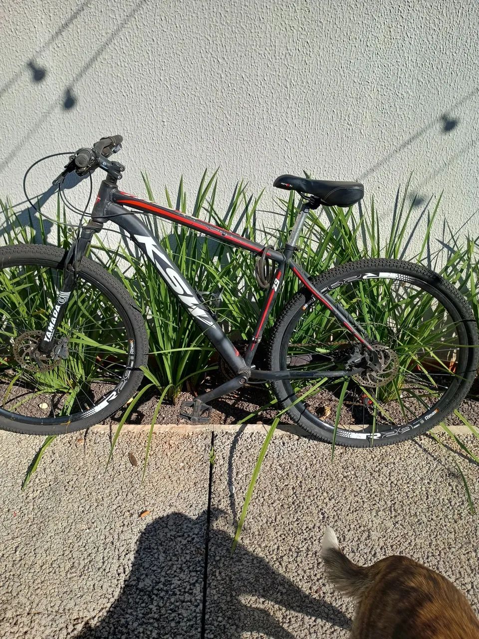 Bicicleta aro 29