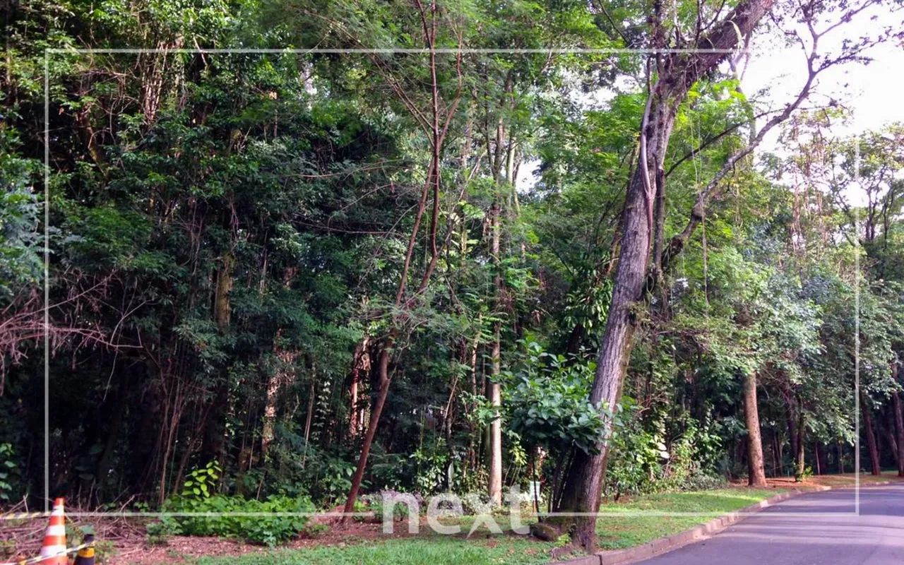 terreno - Parque Sao Quirino - Campinas - Foto 2