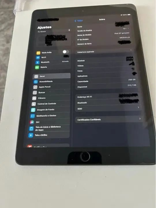 iPad