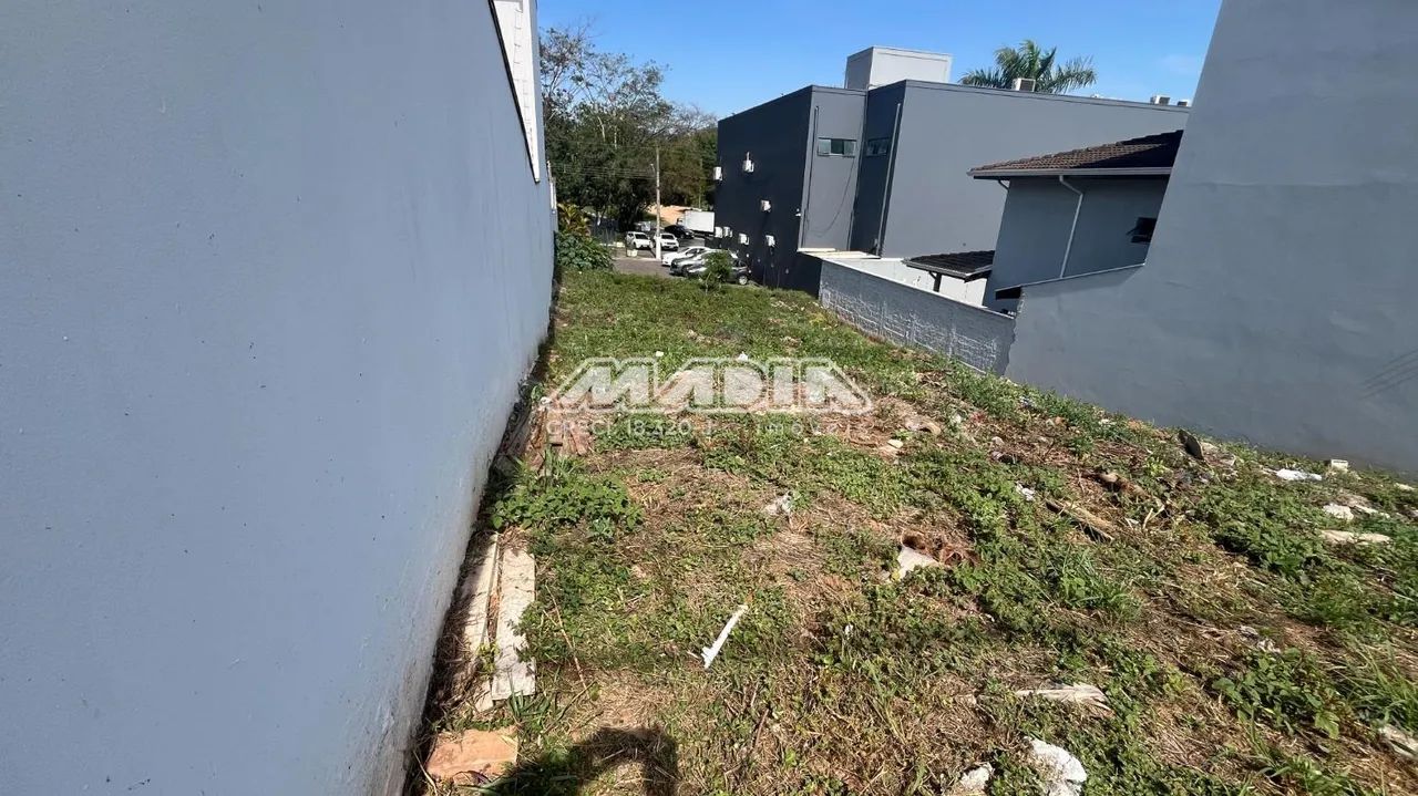 terreno - Parque Nova Suíça - Valinhos - Foto 5