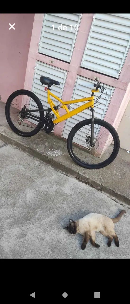 Bike  Status aro 26