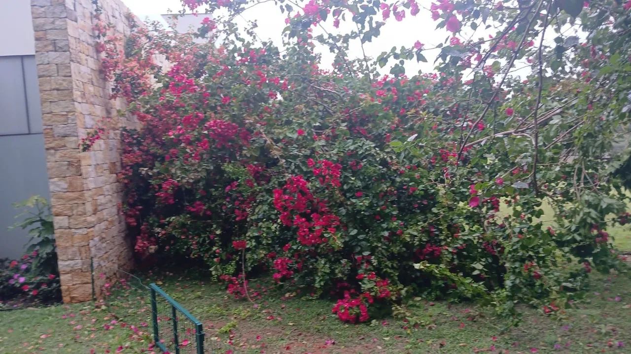 CONTRATA-SE JARDINEIROS  - Foto 4