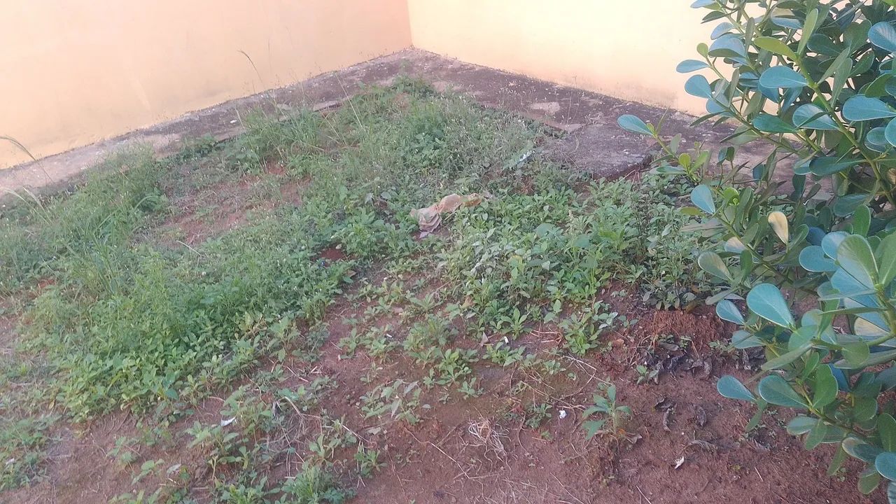 Alugo casa Jd tarumã 