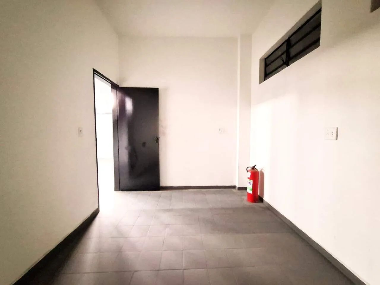Barracão 236 m² Parque Hipólito - Foto 4