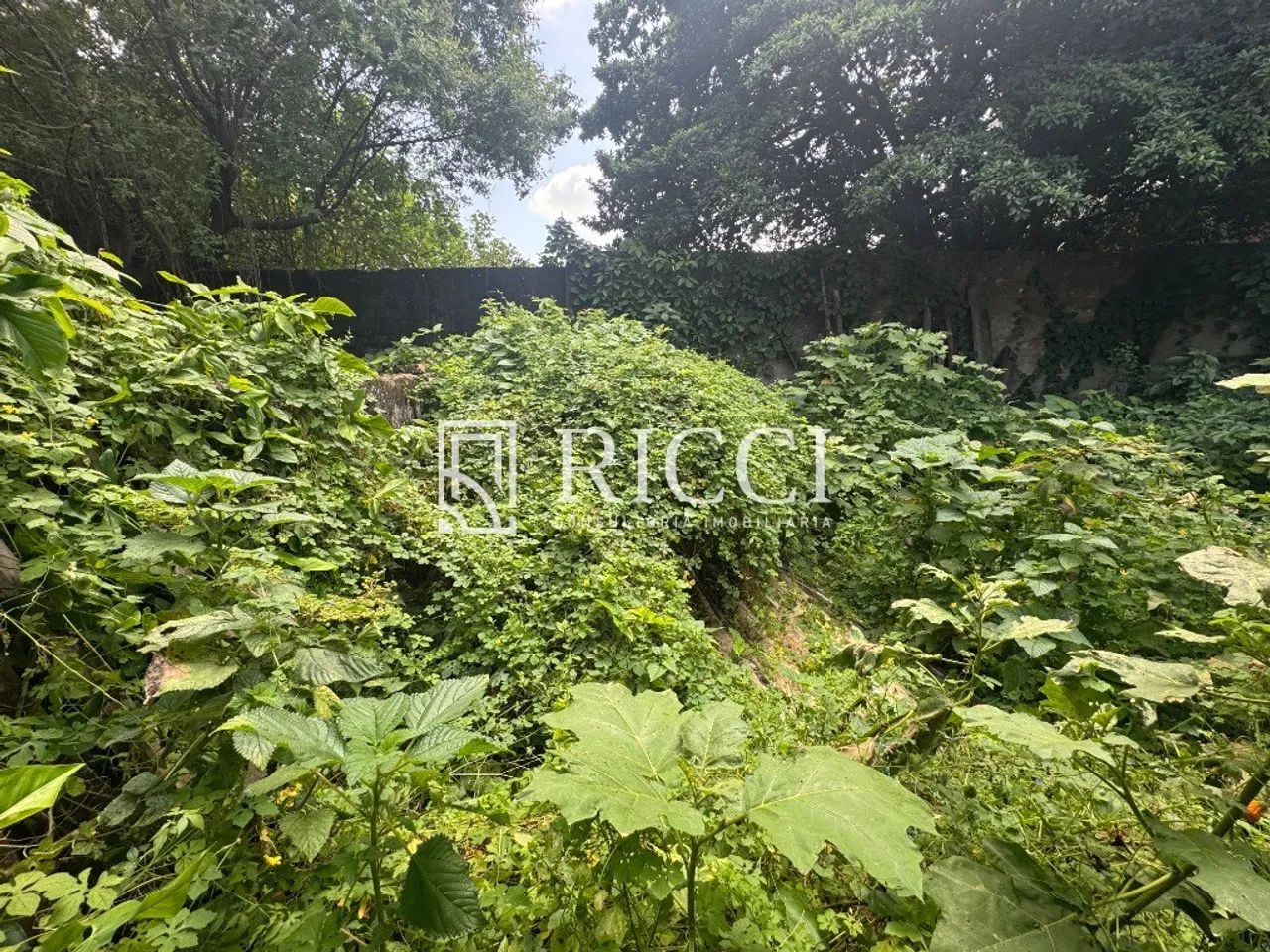 Comprar Terreno em Santos - Foto 5