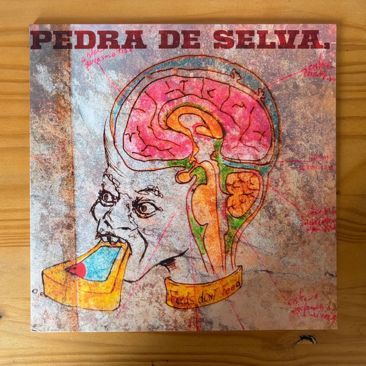 Disco de Vinil LP Curumin - Pedra de Selva - Foto 2