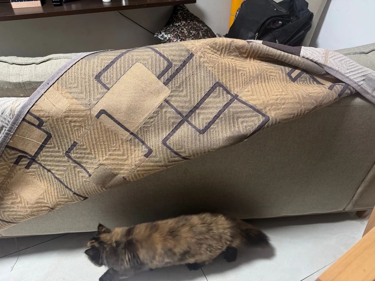Sofá com almofadas de encosto removível . - Foto 5