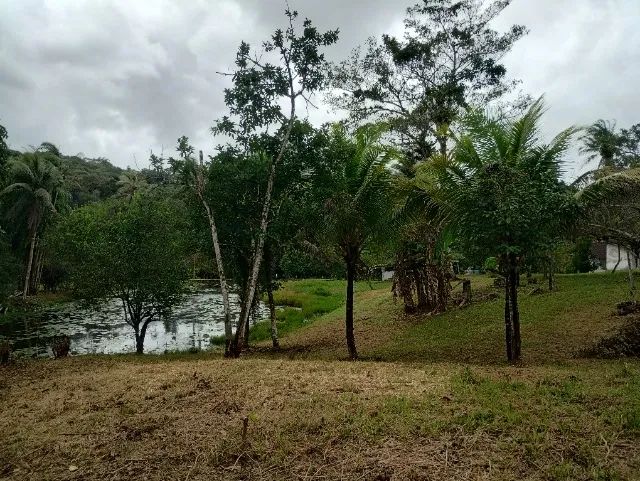 chacara com terreno de 59000m2 em aldeia camaragibe - Foto 3