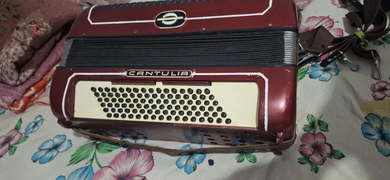 Acordeon  - Foto 3