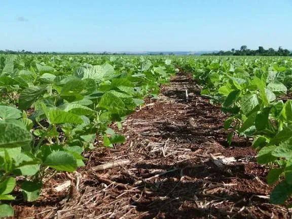 Foto - Brasília - Setor Tradicional (Planaltina)