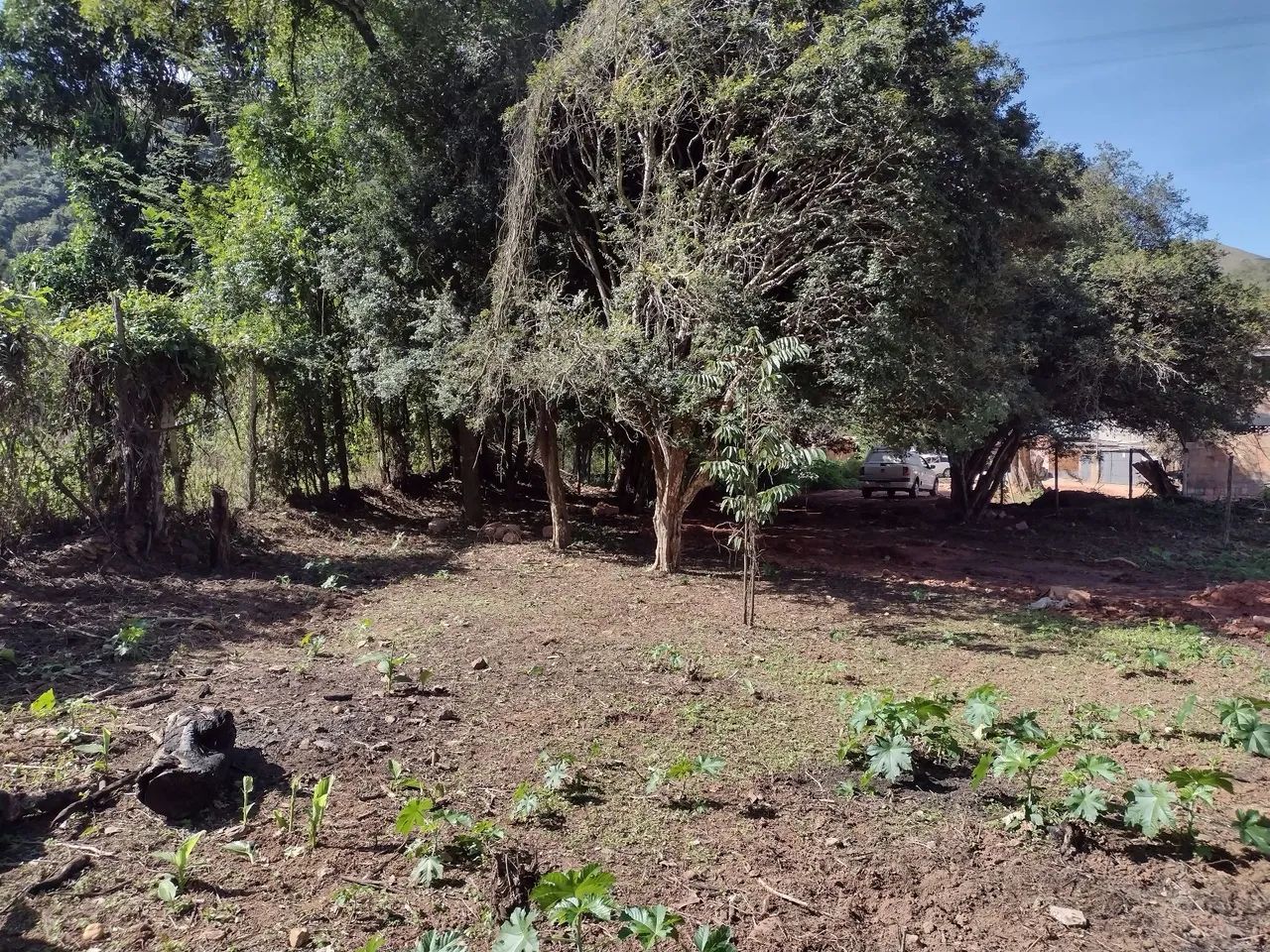 Lote Nova limaLote 120,000 - Foto 5