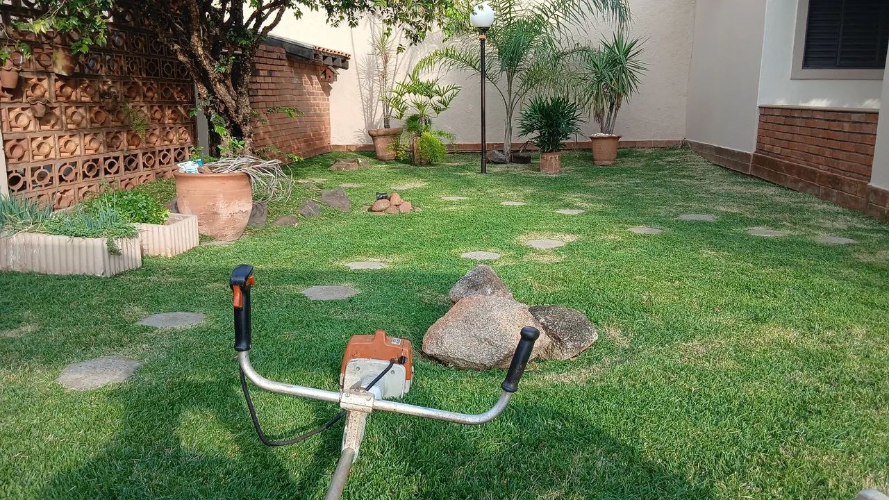 Jardinagem  - Foto 2