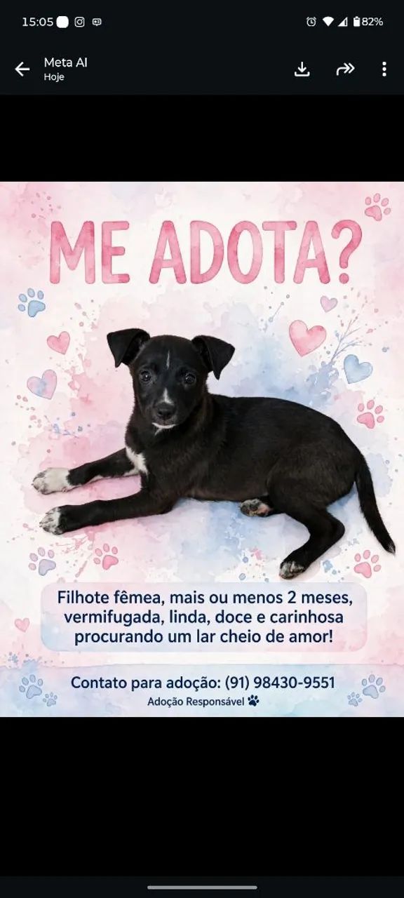 adoção 