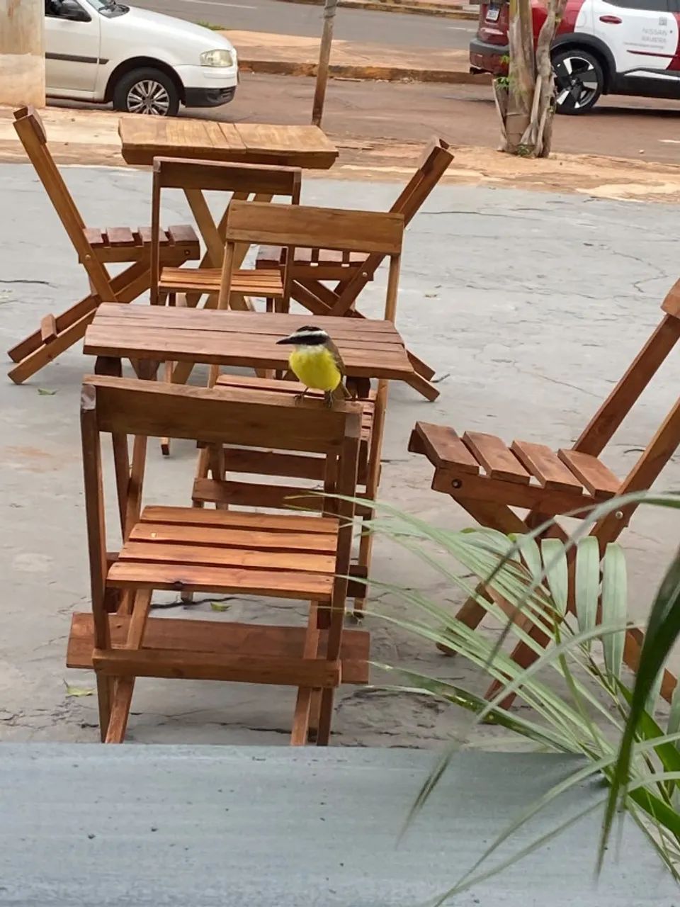 ombrelone e jogo de mesa