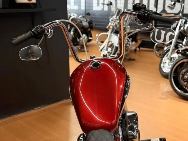 XL1200 CUSTOM - Foto 4