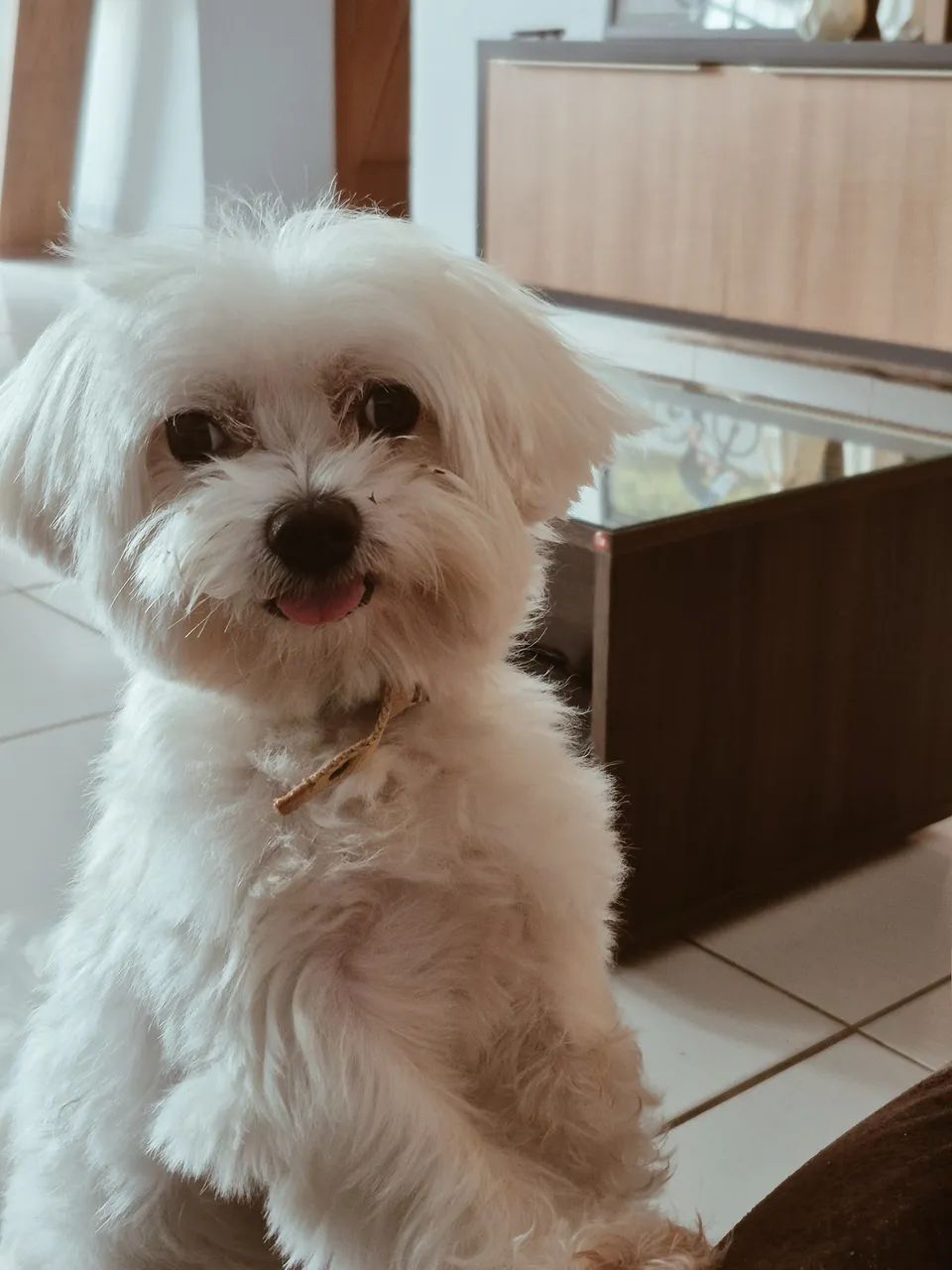 Procuro uma namorada  - Foto 2