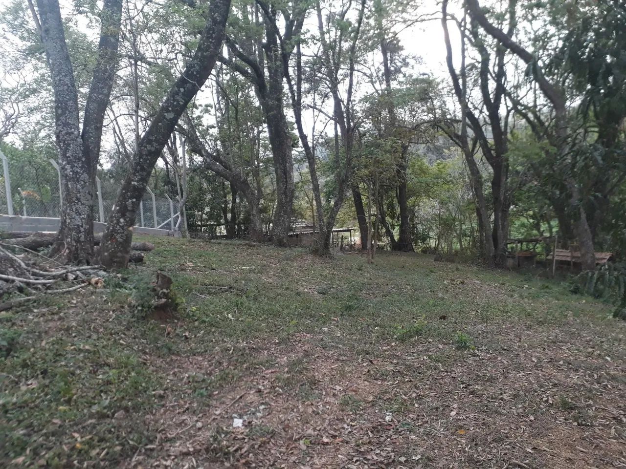 TERRENO NO INTERIOR DE SÃO PAULO - Foto 4