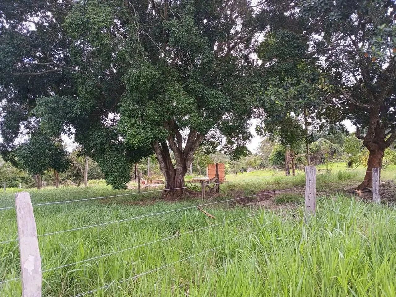 Oportunidade - chácara a venda  - Foto 4