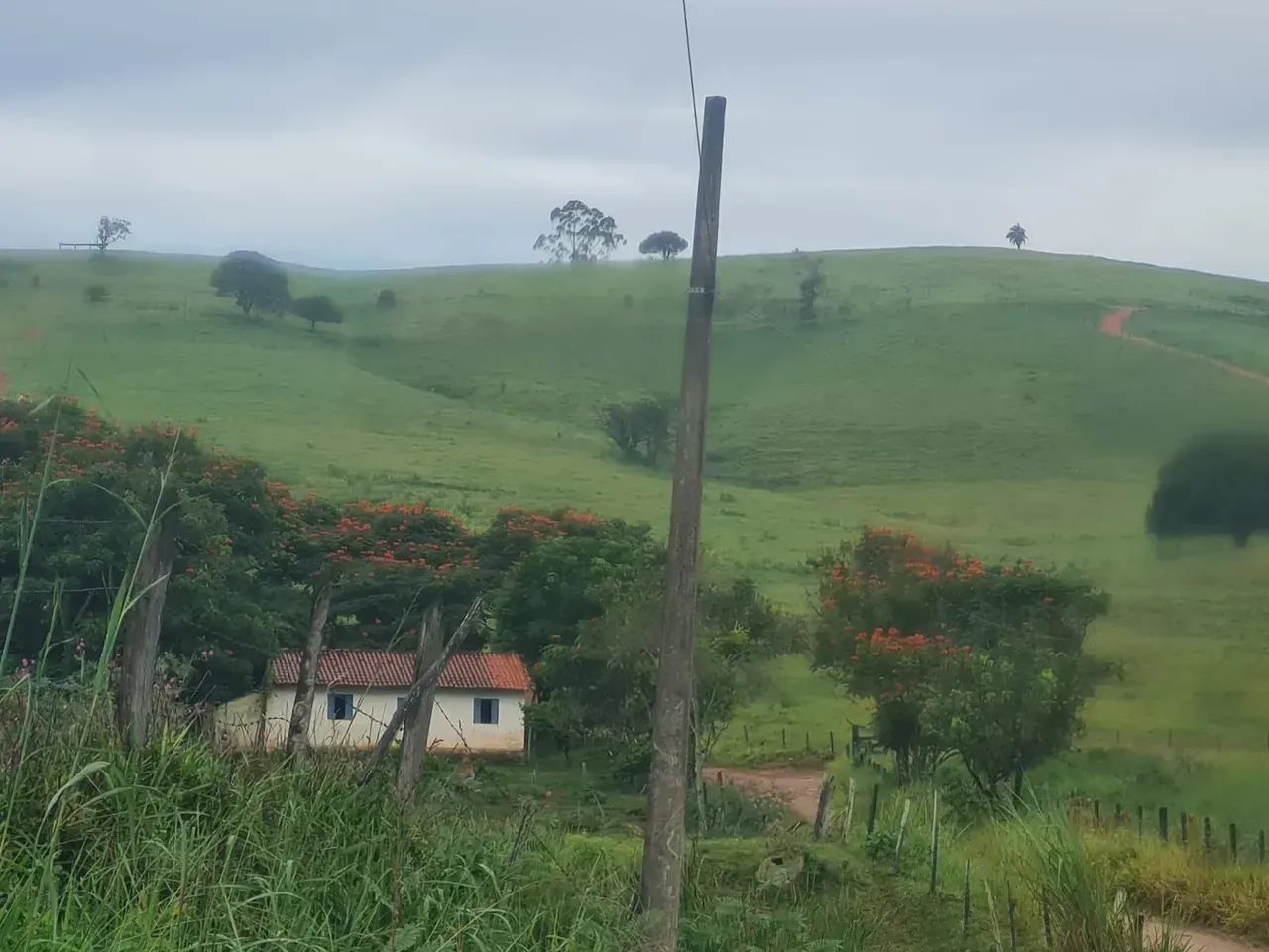 Fazenda a venda em Jacutinga -MG - Foto 4