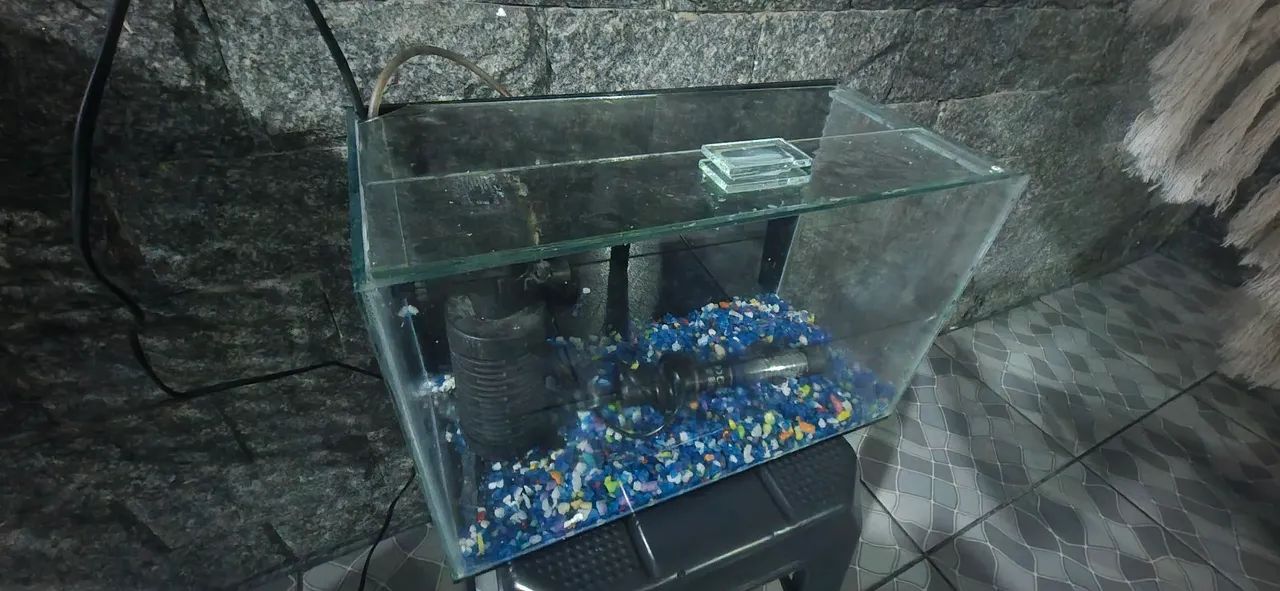Aquário  - Foto 2