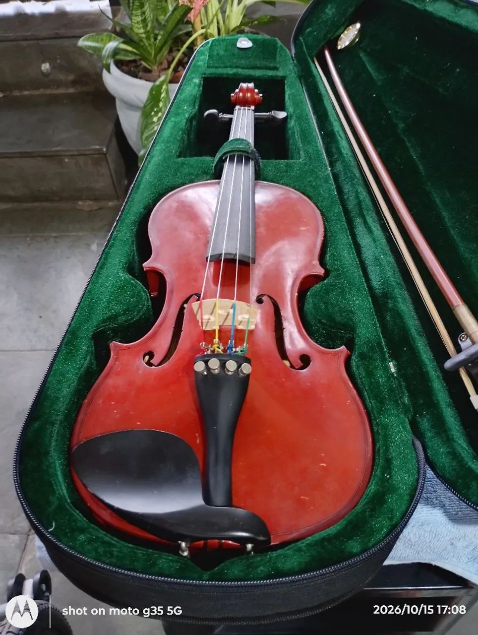 Violino Michael 3x4 sem esparelha