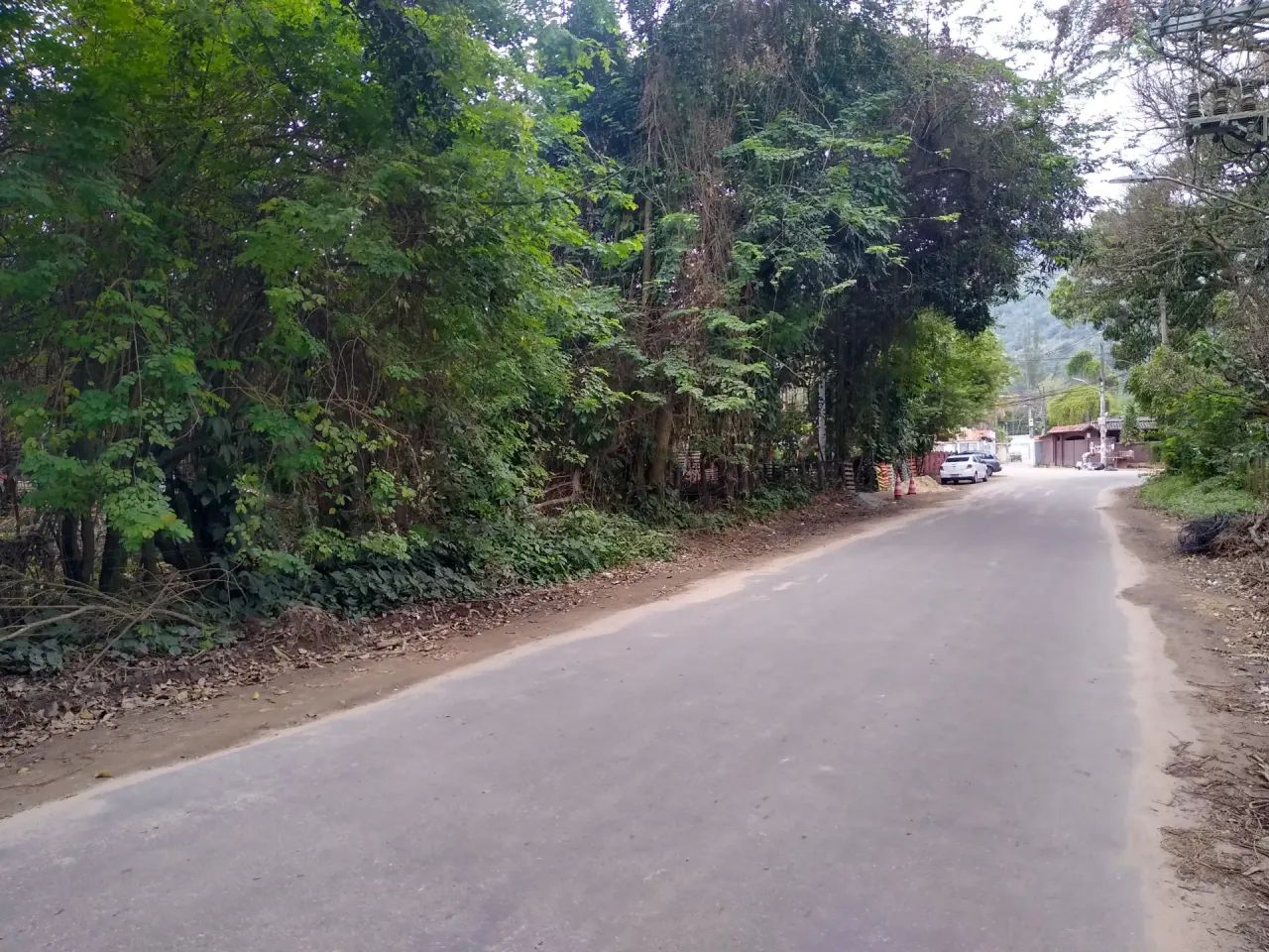 Terreno Comercial Plano com 3.000 m² no Rio da Prata - Foto 2
