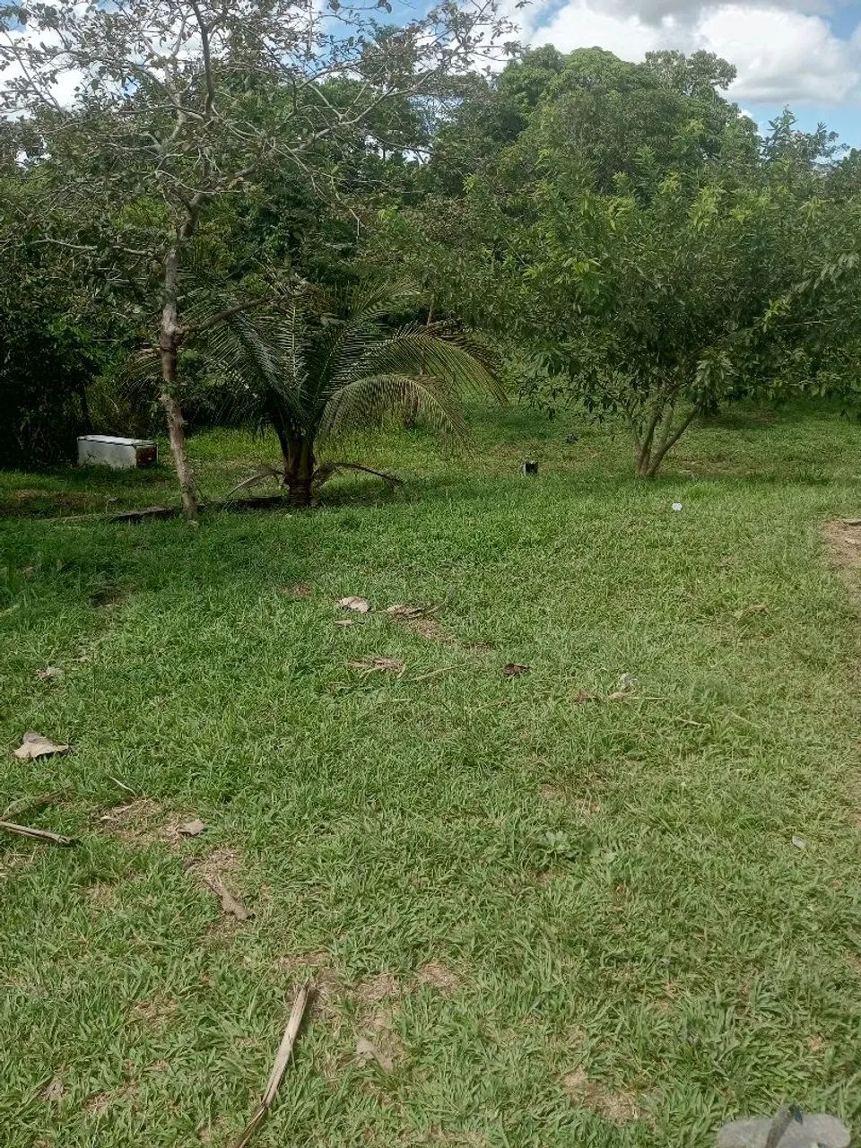 Vende - se - Foto 2