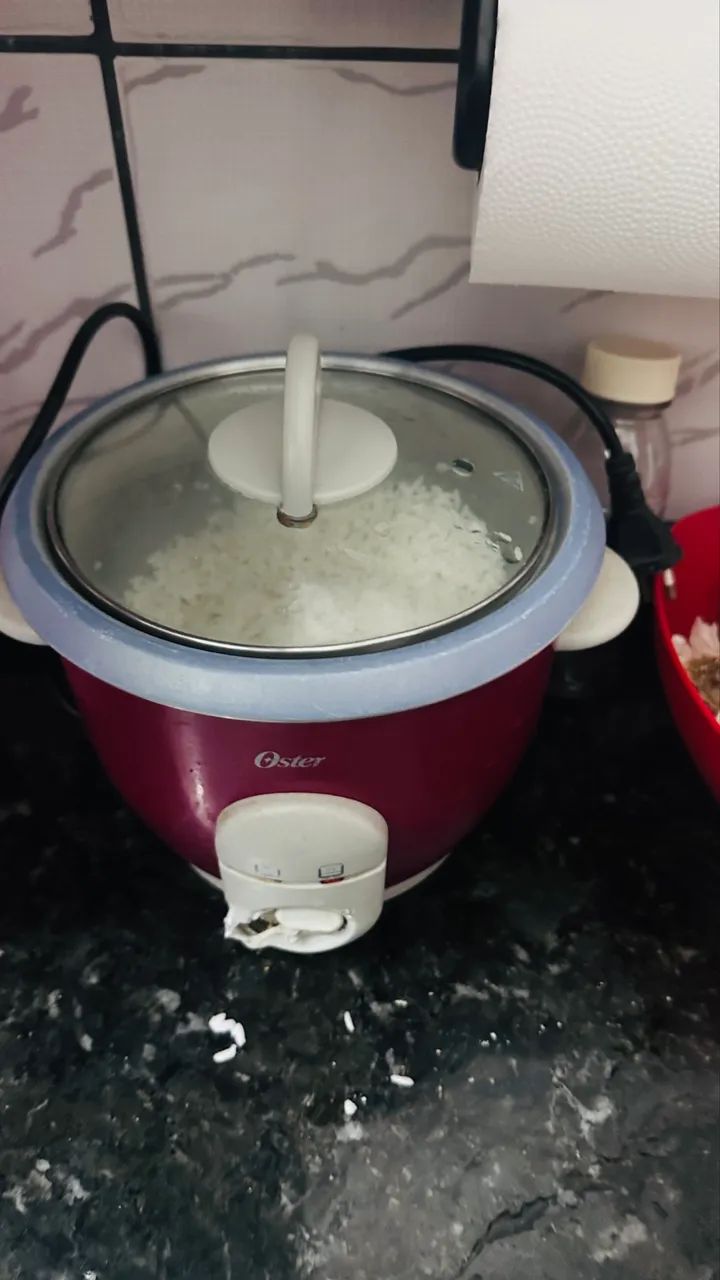 Panela Elétrica Multifuncional - Funcionando Perfeitamente!