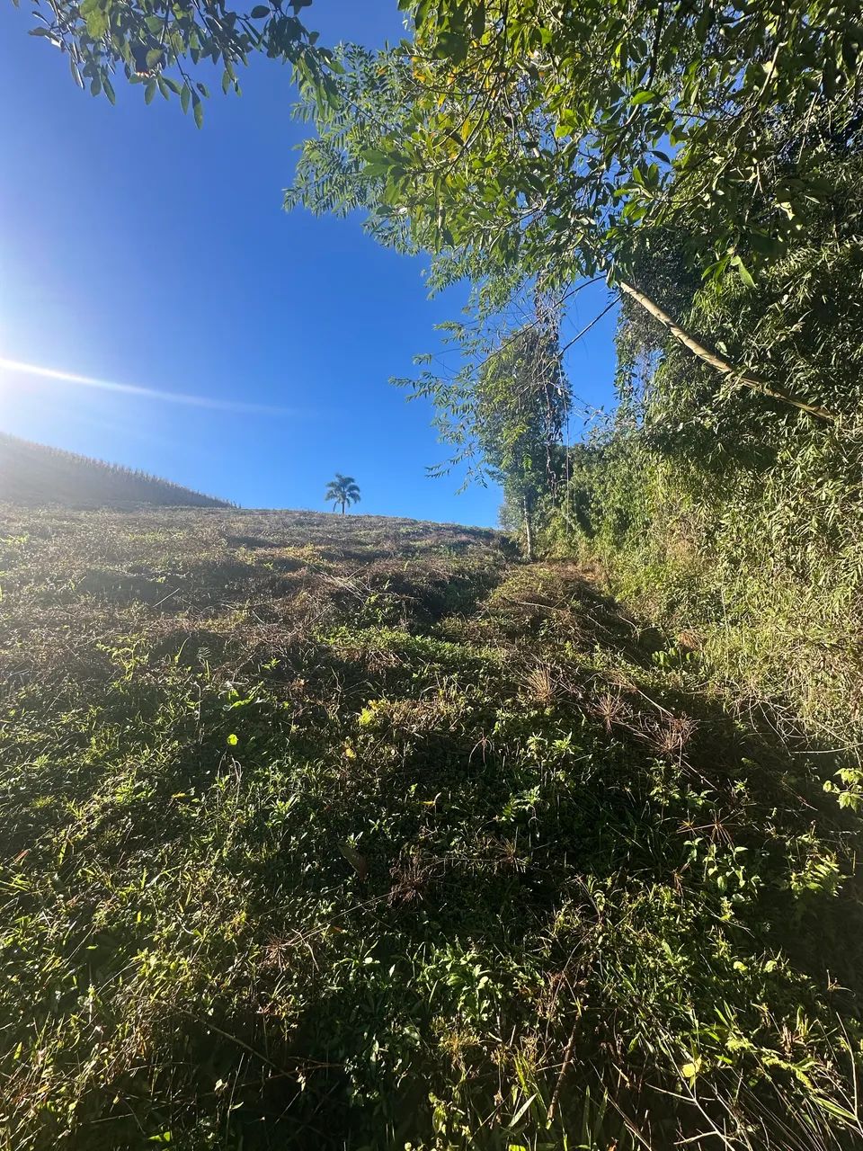  Área Rural para construção de chalé - Foto 4