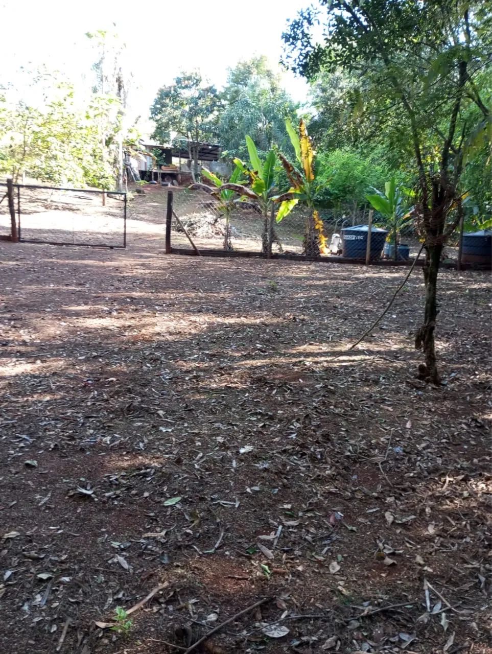 Vendo chácara inteira ou metade  - Foto 2