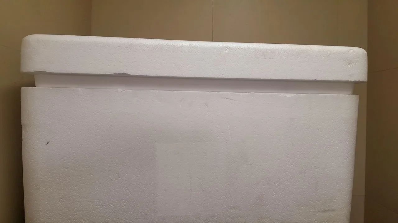 Caixa de isopor  - Foto 2