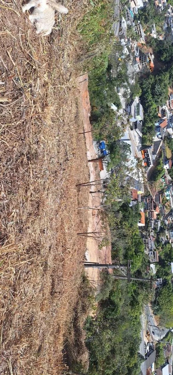 Terreno na Prata - Foto 5