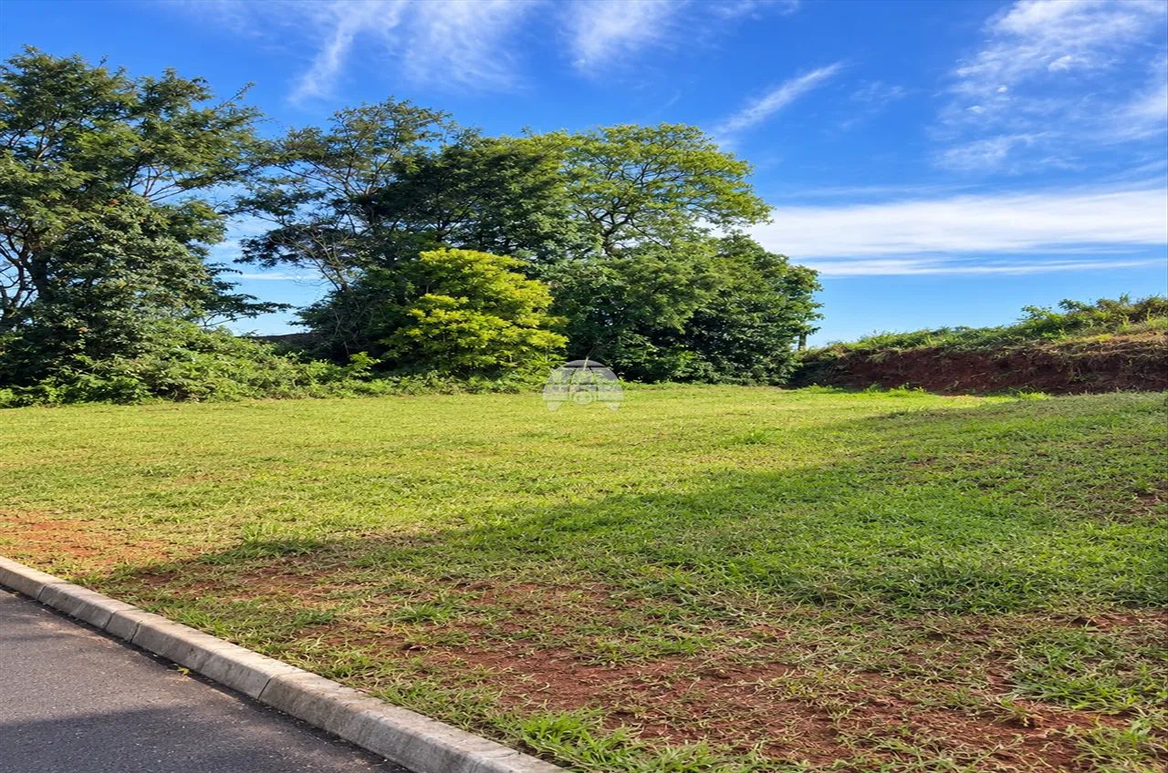 Vendas Terreno Pato Branco PR