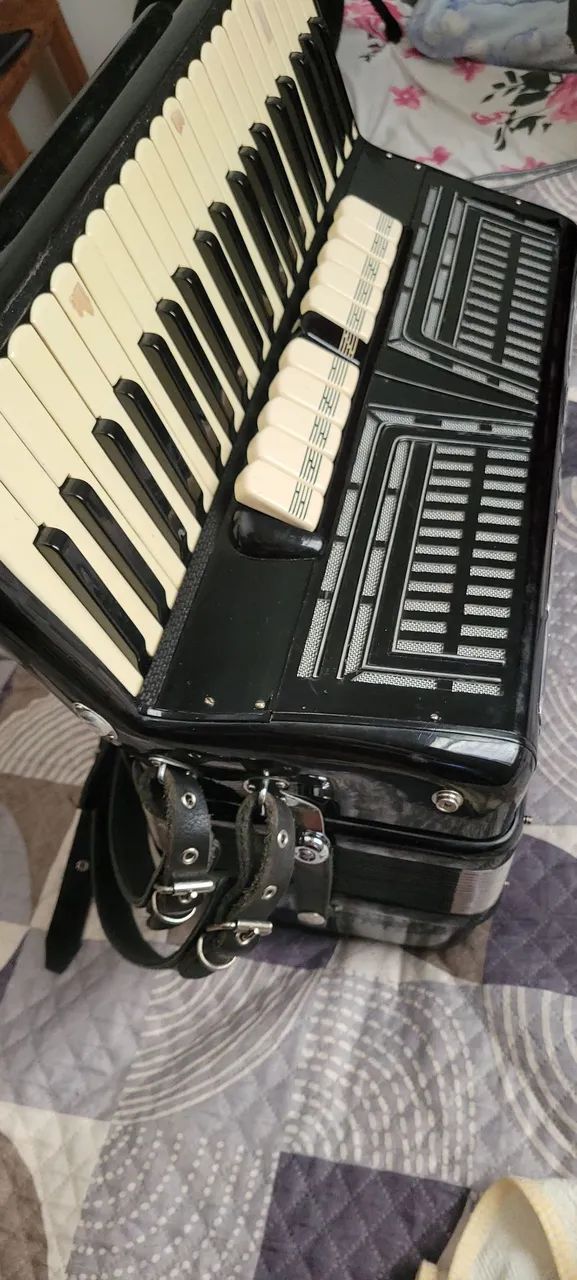 Vendo Acordeon lorio - Foto 2