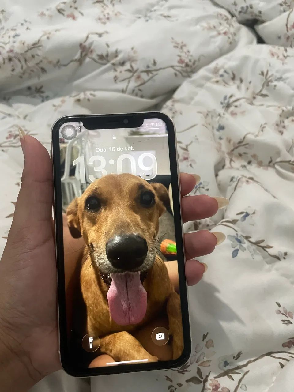 Vende-se iPhone 11  - Foto 2