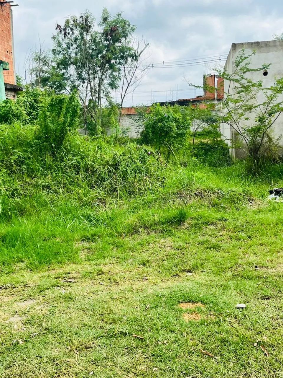 Terreno grande  - Foto 4