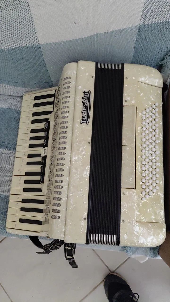 Vendo acordeon 80 baixos