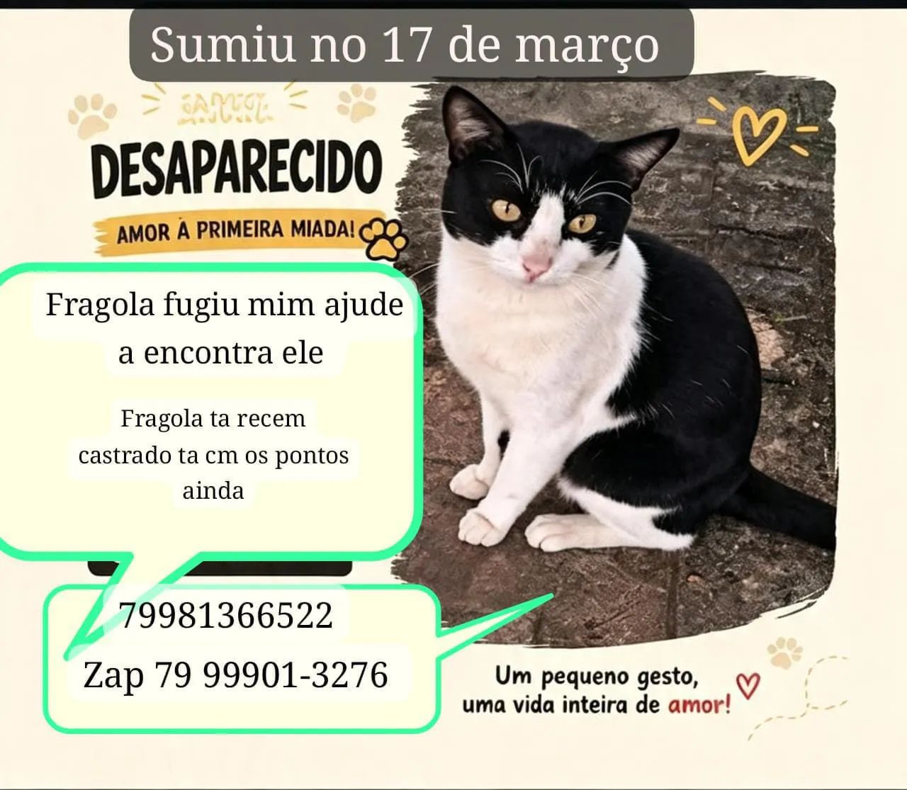 Perdido no 17 de março 