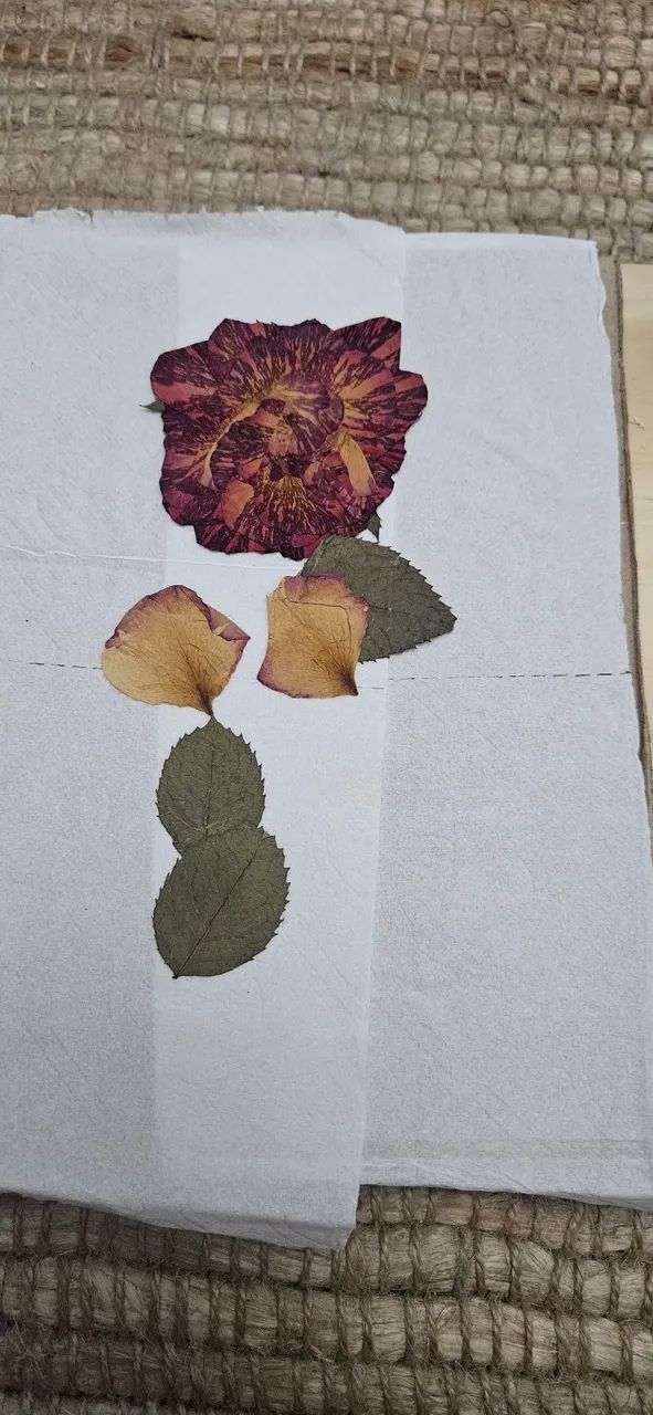 Kit 8: artesanato prensa de flores - Foto 5