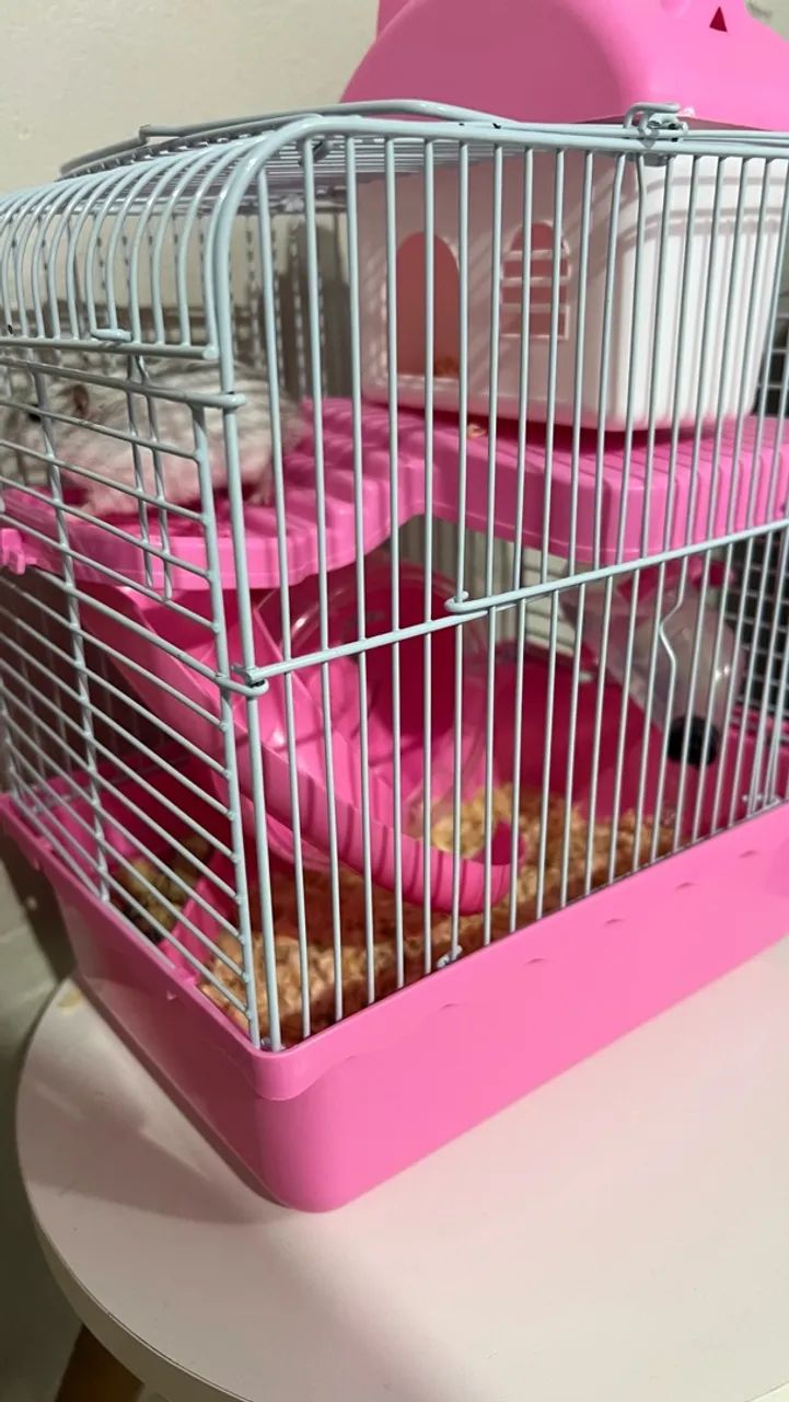 Hamster com gaiola  - Foto 4