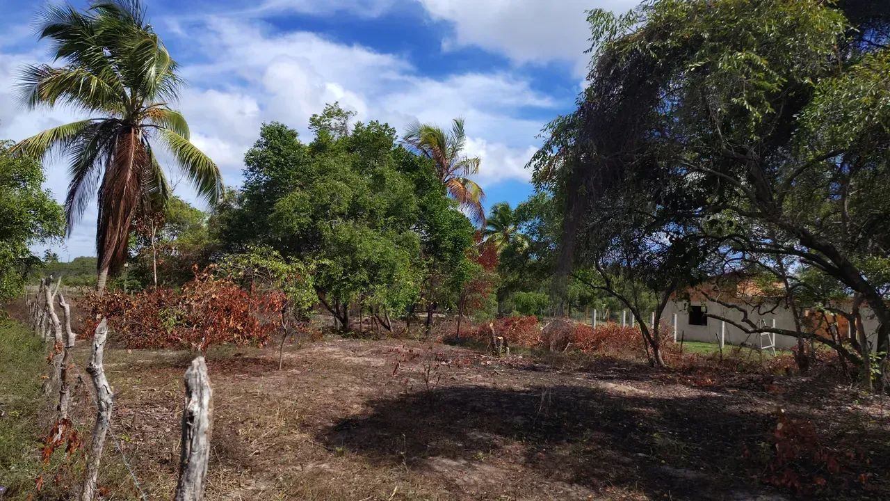 área fundo para a lagoa dos tambaquis abais no - Foto 3