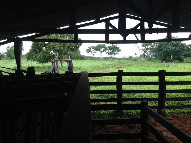 Fazenda 950 ha Rosário Oeste MT - Foto 6