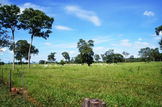 Fazenda 1750 ha N.S. Livramento MT - Foto 9
