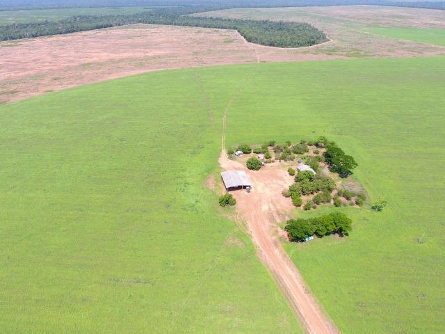 Fazenda 15000 ha 150 Km Sorriso MT - Foto 2